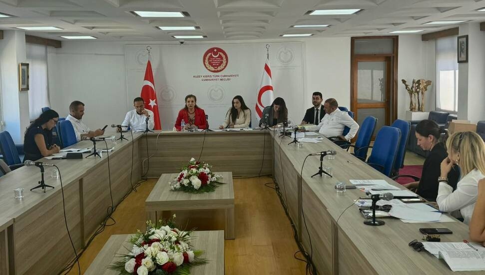 Maliye, Bütçe ve Plan Komitesi toplandı