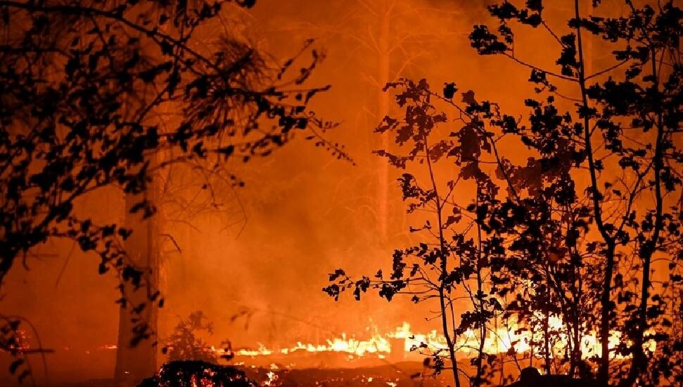 Los Angeles'taki yangınlarda ölü sayısı 24'e yükseldi