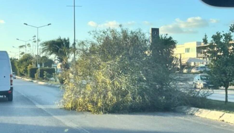 Fırtına yurdu etkisi altına aldı: Ağaçlar söküldü, çatılar uçtu, elektrik kesildi