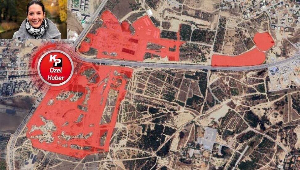 Feriha Tel: Külliye yapımı için 4 bin 922 ağaç kesildi!