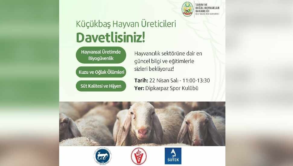 Dipkarpaz’da küçükbaş hayvan üreticilerine yönelik eğitim düzenleniyor
