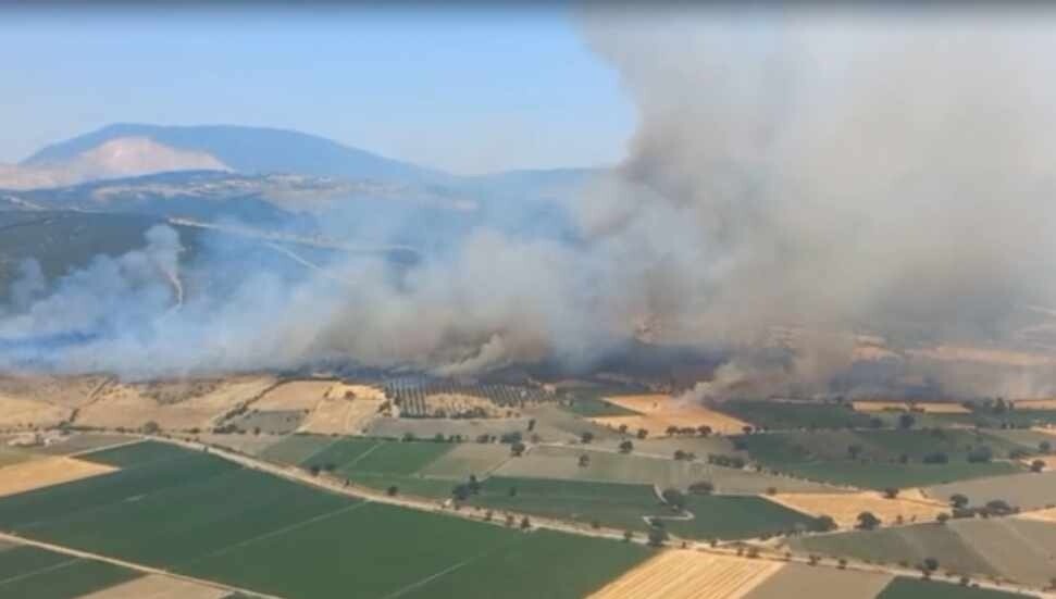 İzmir Kınık'ta orman yangını