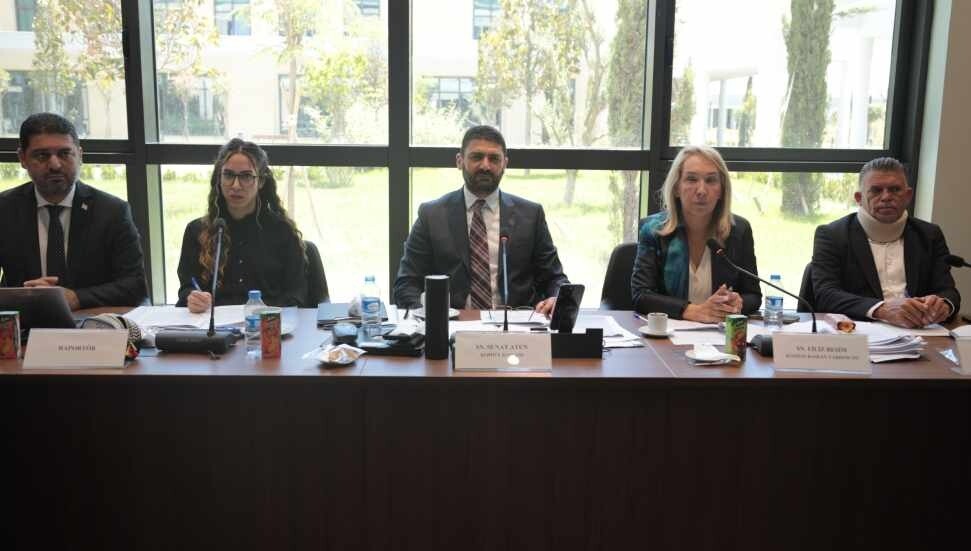 Tapu ve Kadastro Dairesi ile Yataklı Tedavi Kurumları Dairesi yasa tasarılarına komiteden onay