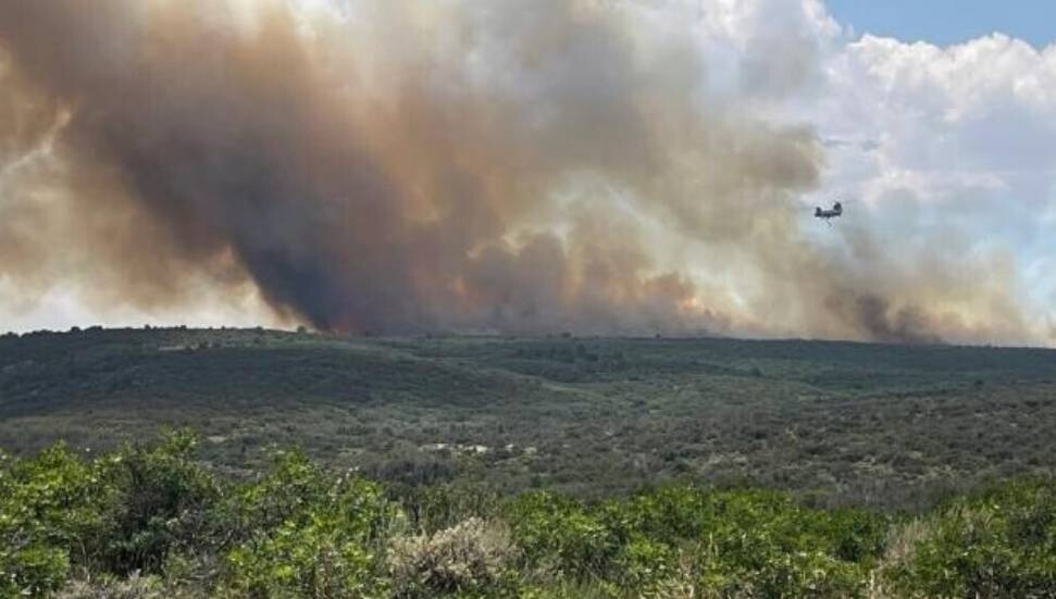 ABD'deki bir milli parkta çıkan orman yangını bir günde yaklaşık 20 kat büyüdü
