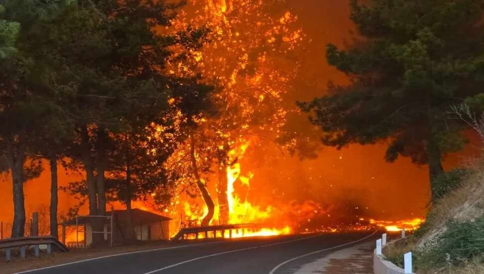 Two Dead and Dozens Evacuated as Wildfire Rages Near Limassol