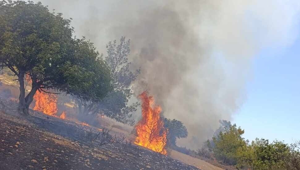 Esentepe Karaağaç’ta yangın!