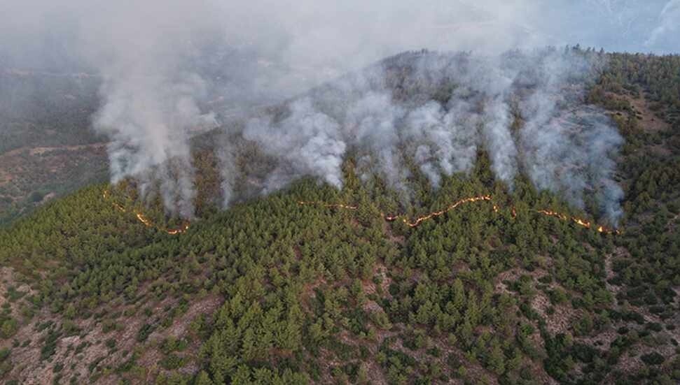 Türkiye'deki orman yangınlarına havadan ve karadan müdahale sürüyor