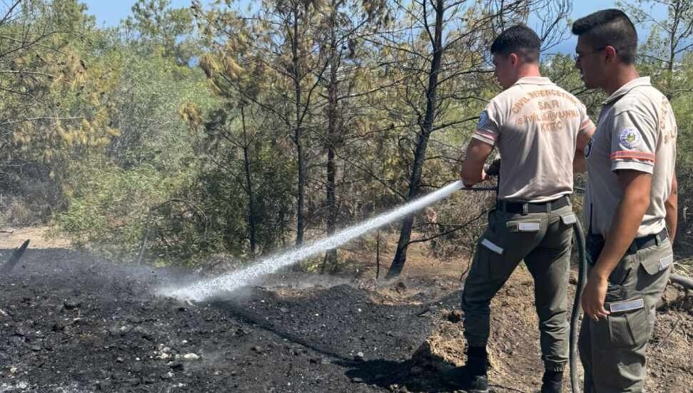 Fire Breaks Out on Kyrenia Escape Road After Power Lines Contact Trees