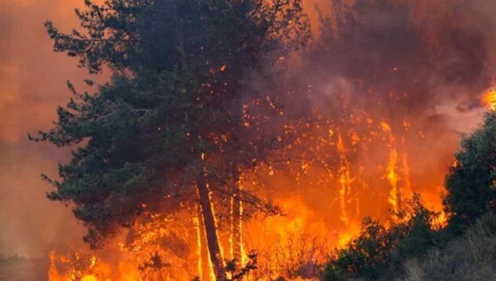 Girne-Lefkoşa ana yolu yangın nedeniyle trafiğe kapatıldı!