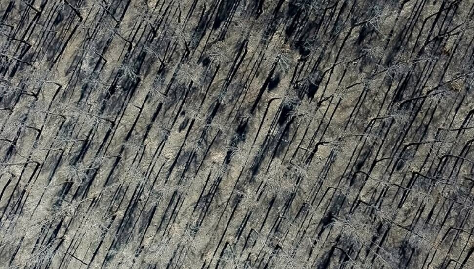 İspanya'da devam eden orman yangınlarında 407 bin hektardan fazla alan kül oldu