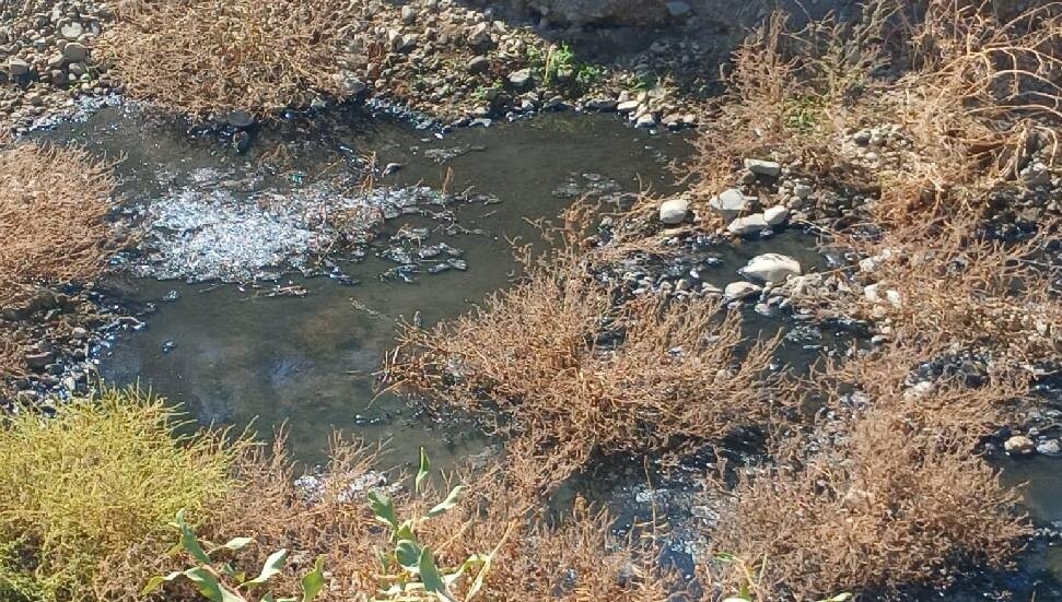 Lefke Çevre ve Ekoloji Derneği, Gemikonağı'ndaki kanalizasyon suları nedeniyle yetkilileri göreve çağırdı