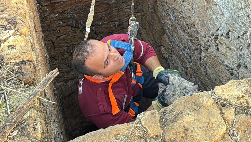 Yeniboğaziçi’nde kuyuya düşen kedi kurtarıldı