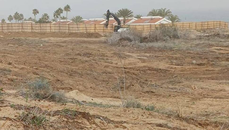 CTP Gençlik Örgütü: İskele’de ağaç kesimi yasaklı arazide inşaat izni verildi, 10 dönüm alan tahrip edildi!