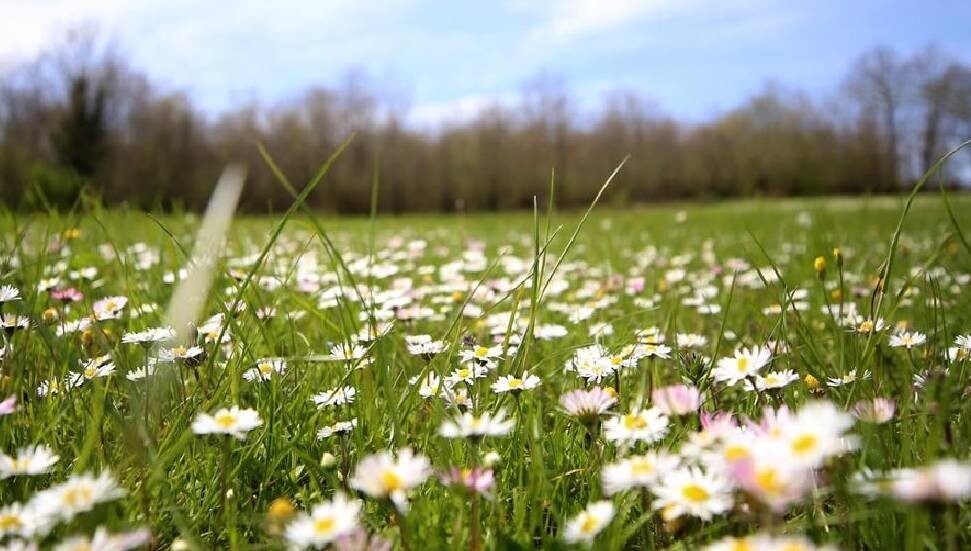 Son cemre toprakla buluştu