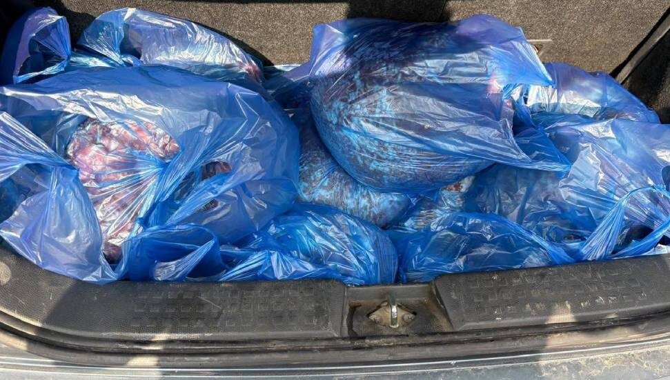 Metehan Sınır Kapısı'nda 94 kilo kaçak et ele geçirildi: 280 bin TL para cezası kesildi