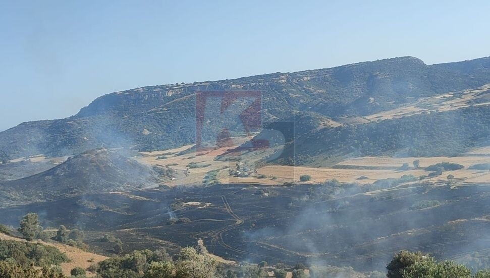 Avtepe-Kuruova arasındaki yangın kontrol altına alındı!