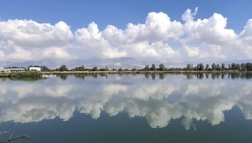 KUŞKOR: Haspolat önemli kuş alanında neler oluyor?