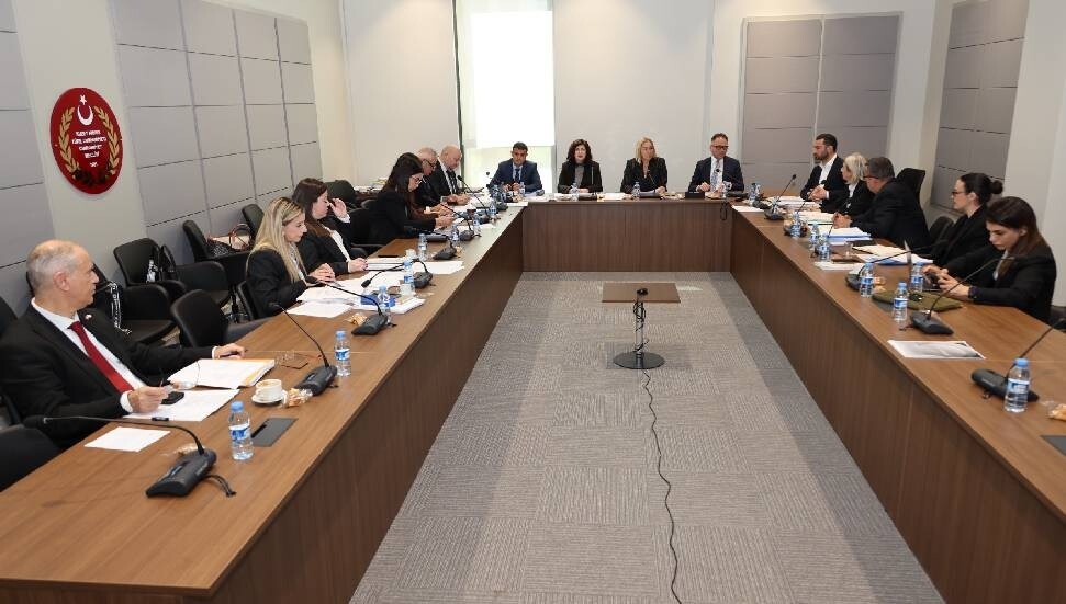 Hukuk, Siyasi İşler, Dışilişkiler ve Savunma Komitesi üç yasa tasarını ele aldı