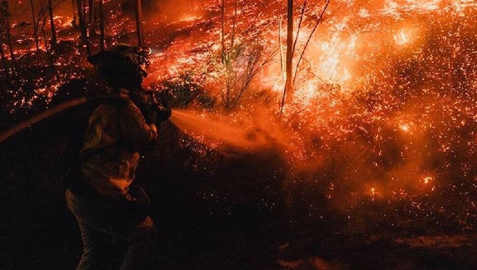 İspanya'da bu yıl 350 bin hektardan fazla ormanlık alan yandı