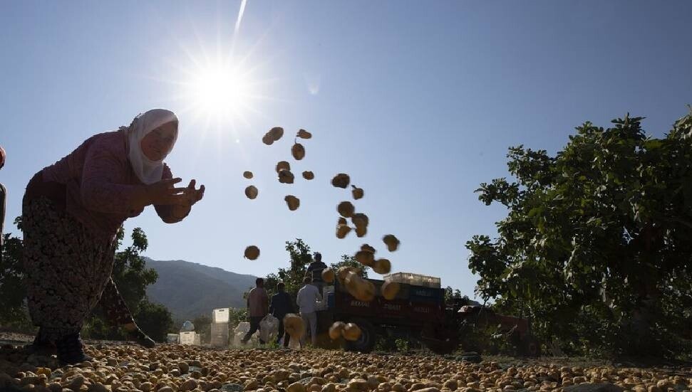 Dünya Meteoroloji Örgütü: Aşırı sıcaklar 1 milyardan fazla kişinin geçim kaynakları için tehdit