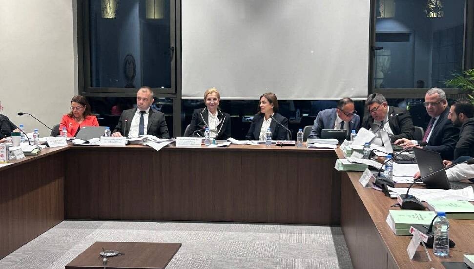 Bayrak Radyo Televizyon Kurumu ve Kişisel Verileri Koruma Kurulu bütçeleri komiteden geçti