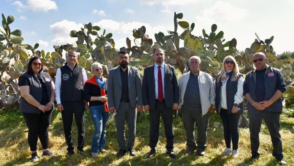 Biyolojik mücadelede önemli başarı: Zararlı popülasyonu yüzde 90’a varan oranda baskılandı