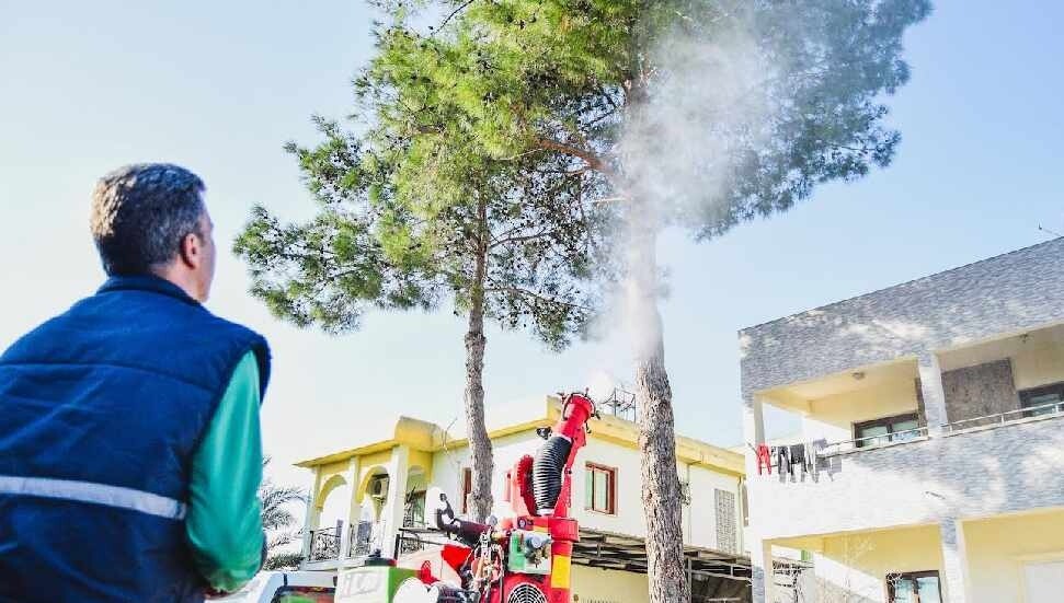 LTB’nin çam kese böceğiyle mücadelede biyolojik ilaçlama çalışmaları başladı