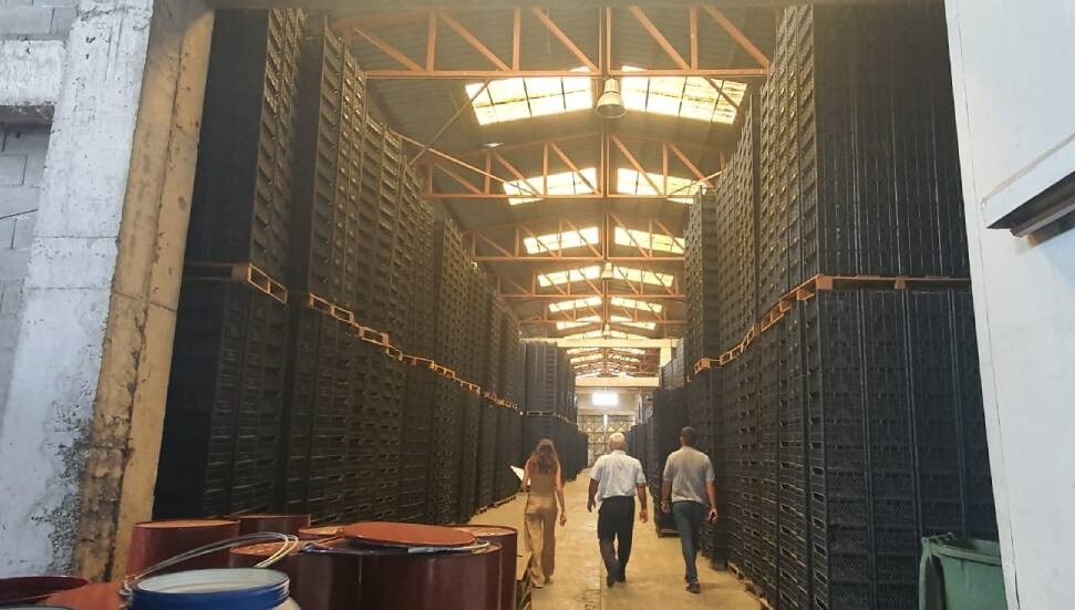 Narenciye kasası üreticilerinin elinde 1 milyon 270 bin kasa kaldı