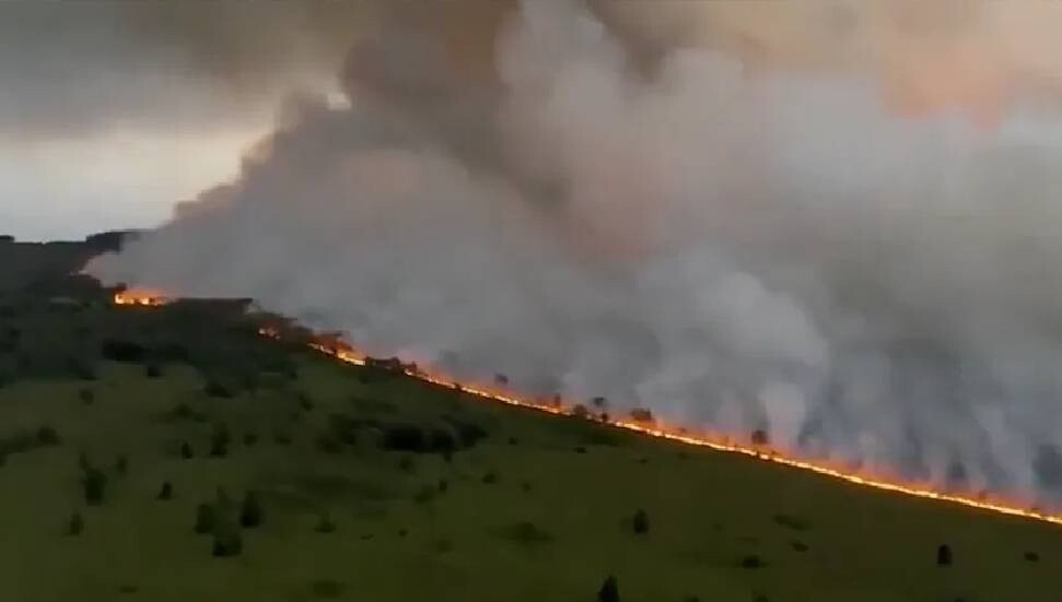 Belçika ve Yunanistan'da orman yangını