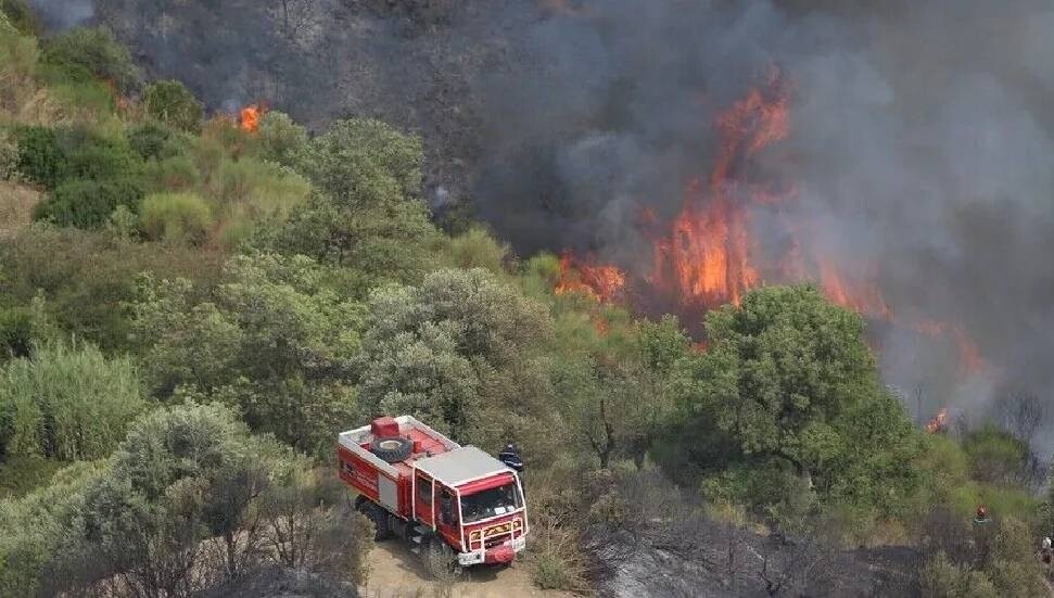 Cezayir'in çeşitli bölgelerinde çıkan yangınlara havadan ve karadan müdahale ediliyor