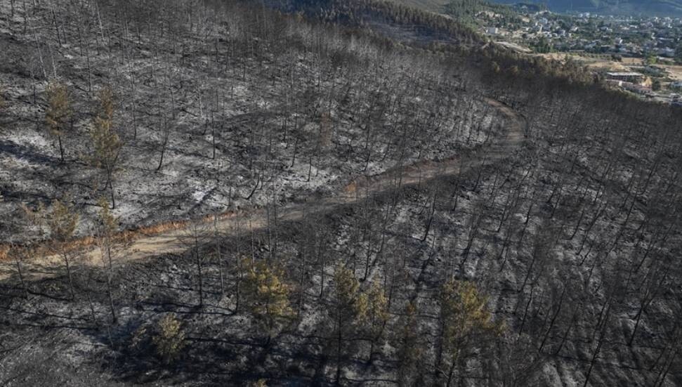 Hatay'daki orman yangınında zarar gören alanlar dronla görüntülendi