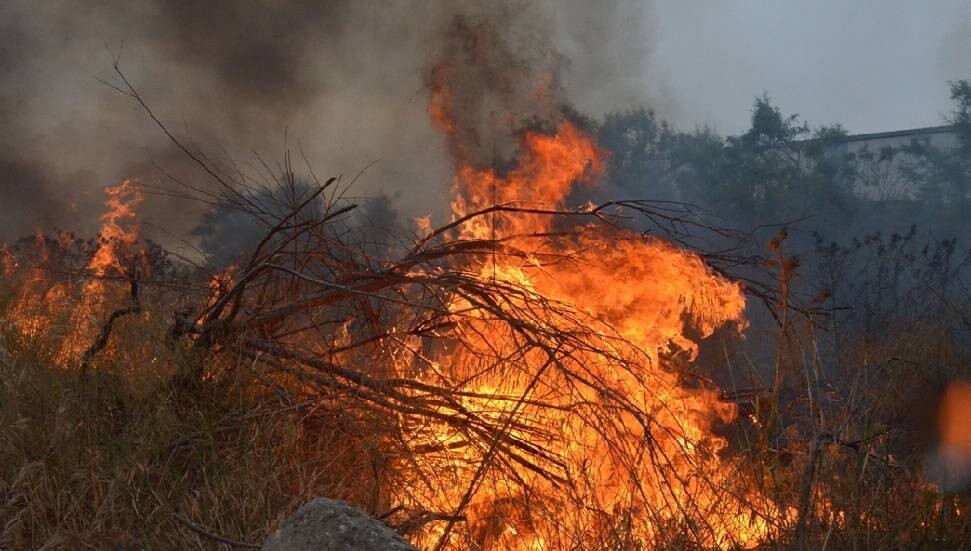Akama’da meydana gelen 179 orman yangından 125’i kundaklama