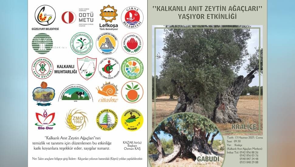 “Kalkanlı Anıt Zeytin Ağaçları Yaşıyor” etkinliği 13 Haziran’da düzenlenecek