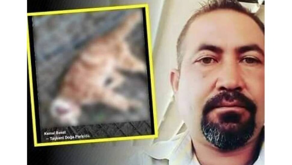 Vahşice kedi öldüren ve fotoğrafını sosyal medyada paylaşan şahıs mahkemeye çıkarıldı