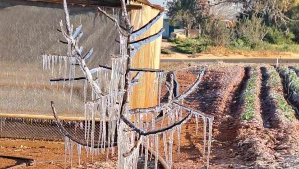 Don olayı üreticileri de etkiledi, Güney Kıbrıs’taki yetkililer harekete geçmek için bekliyor!