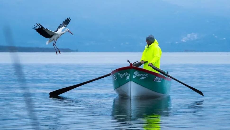 Türkiye'nin merakla beklediği Yaren Leylek geldi: Adem Amca ile Yaren'in buluşması 15. yılda da gerçekleşti