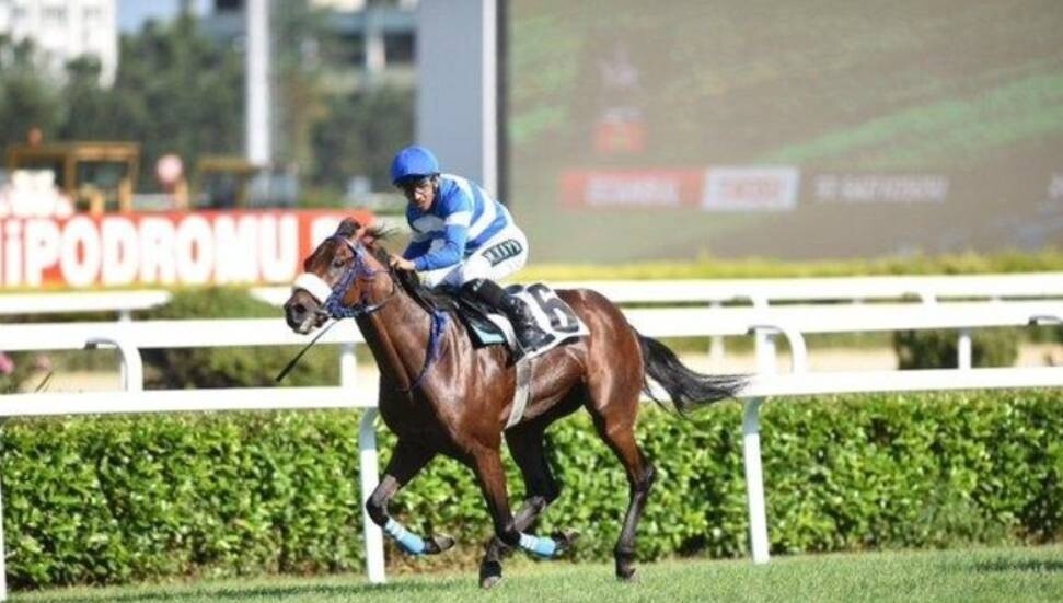 97. Gazi Koşusu'nu "Urfa Aslanı" kazandı