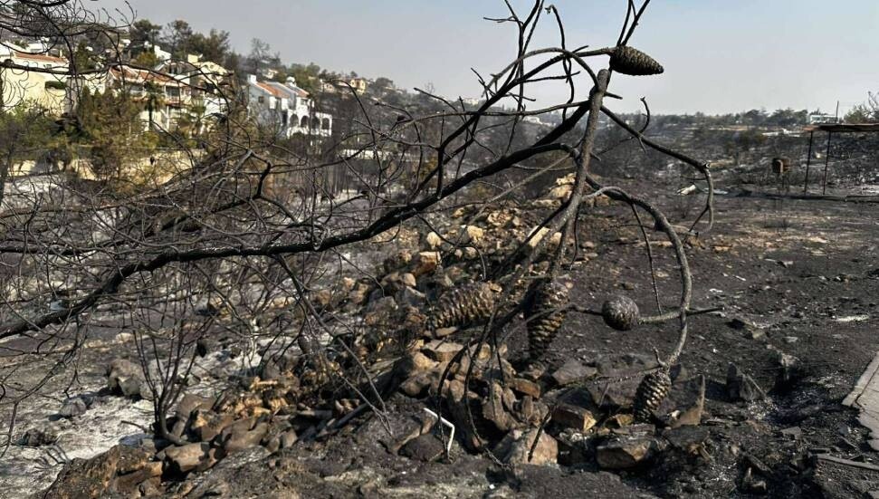 Rum İtfaiye Şefi Longinos: Limasol'da bir kişi araçtan inerek üç noktada yangın çıkardı!