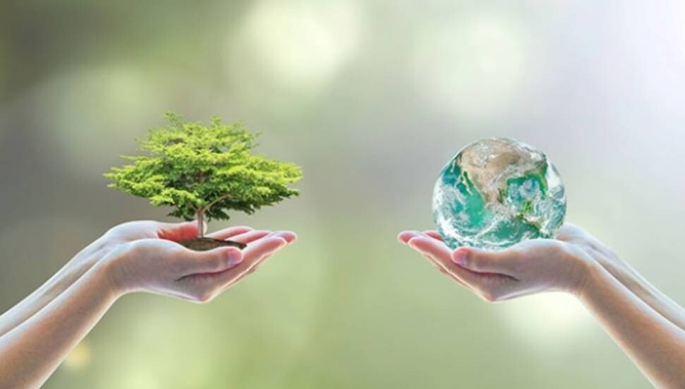 Yeşil Barış Hareketi’nden “doğa ile uyumlu yaşam” çağrısı!