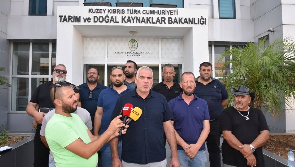 Hayvan üreticileri hükümete seslendi: Artık planlı üretim yapmak istiyoruz