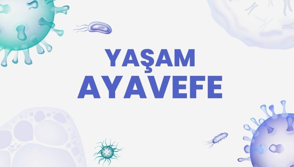 Dijital Sanat ve NFT'ler: Yaşam Ayavefe'nin Sanata Katkıları
