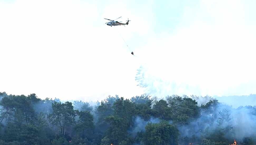 Aydın, Antalya ve Muğla'daki yangınlara müdahale sürüyor
