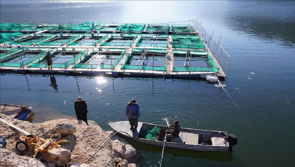 Irak'ın kuzeyinde yağışlar barajları doldururken ani su yükselişleri balık kaybına yol açtı