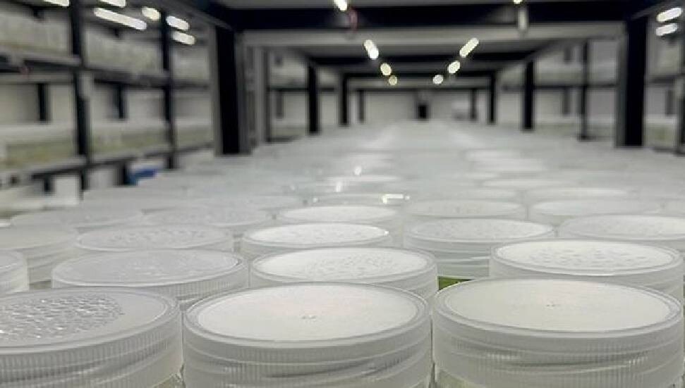 ABD'de "yasa dışı biyolojik laboratuvar" işletildiği şüphesiyle İsrail vatandaşı 1 kişi gözaltına alındı