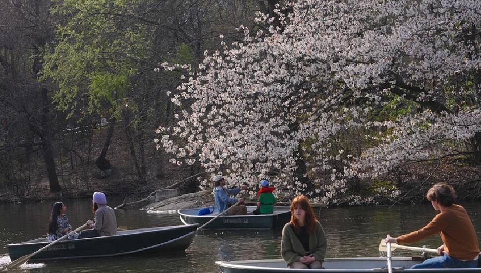 Mart 2026, dünyada kayıtlardaki en sıcak dördüncü mart ayı oldu