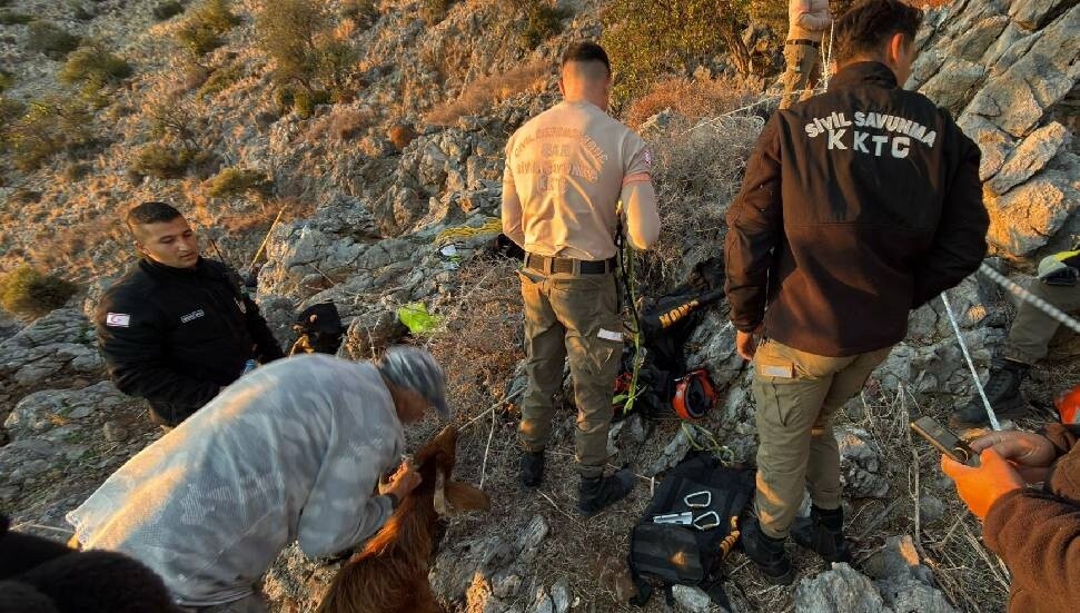 Dağda mahsur kalan keçi kurtarıldı