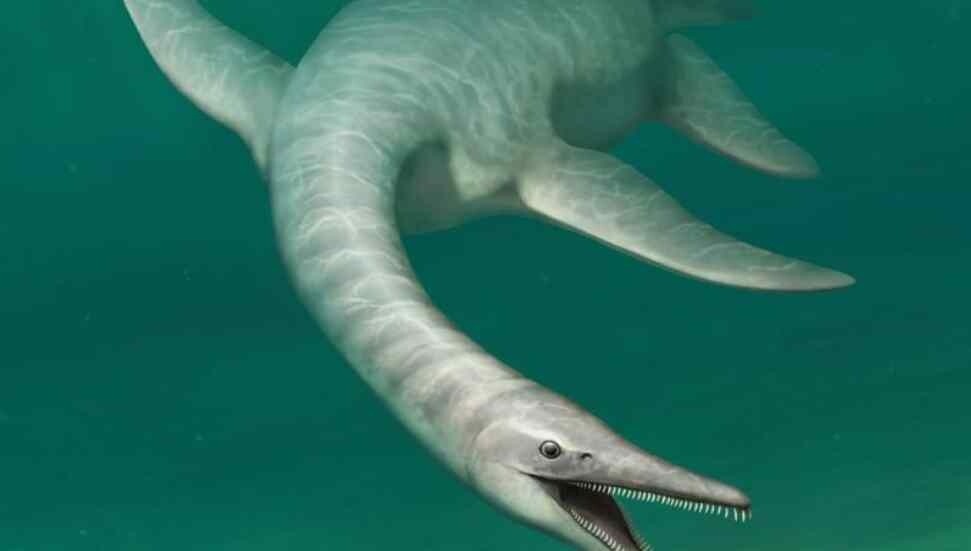 'Yılan vücutlu timsah suratlı deniz canavarı' keşfedildi