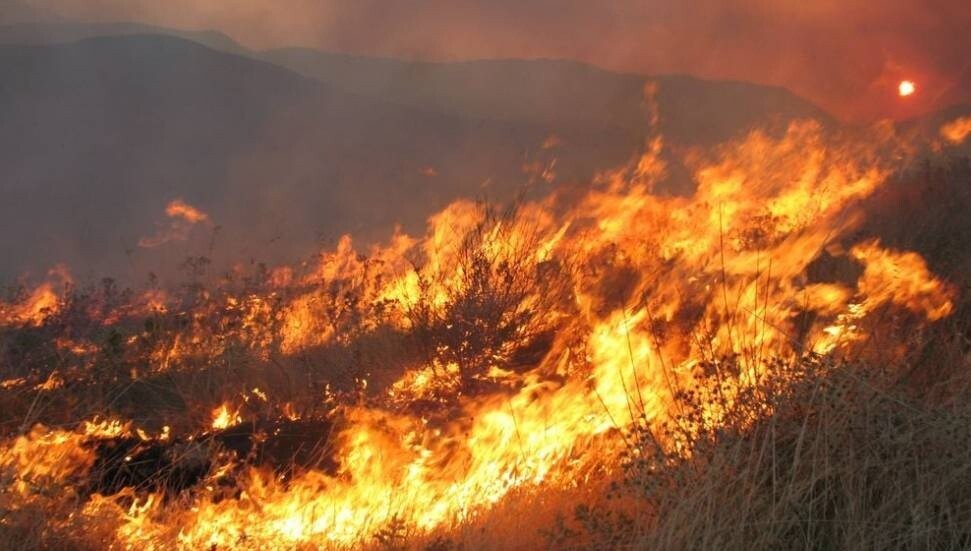 Güney Kıbrıs’ta çıkan büyük yangında kundaklama şüphesi araştırılıyor