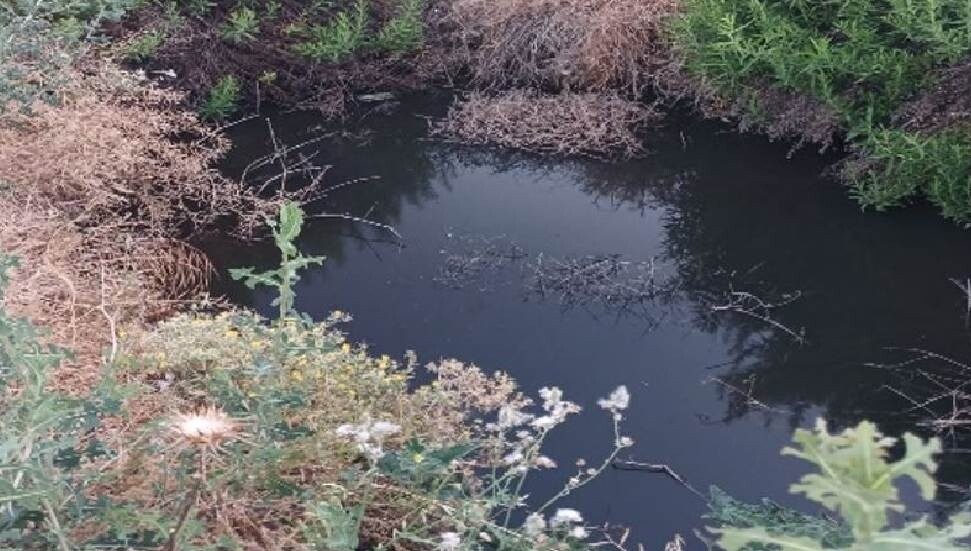 Lefke Çevre ve Ekoloji Derneği: Gemikonağı’nda açık foseptik çukuru tehlike yaratıyor