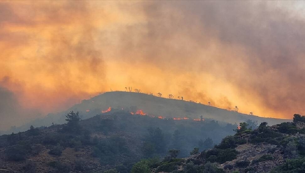Sakız Adası'nda çıkan orman yangınlarında 122 bin 690 dönüm alan zarar gördü